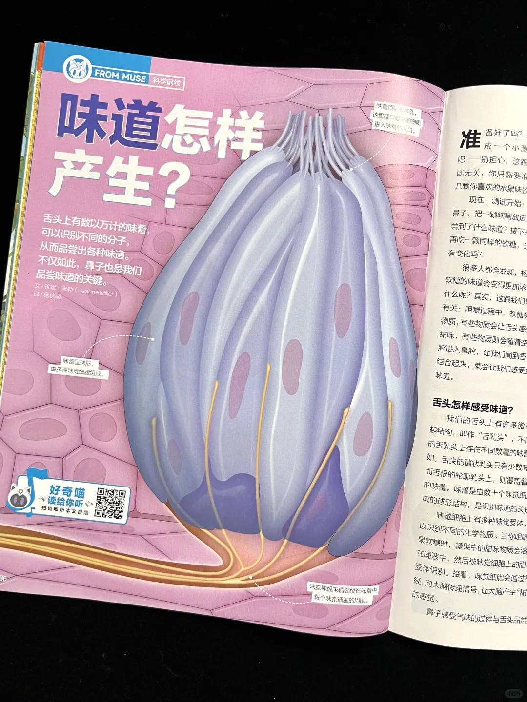 这本通识杂志让孩子追着问 “为什么”?
