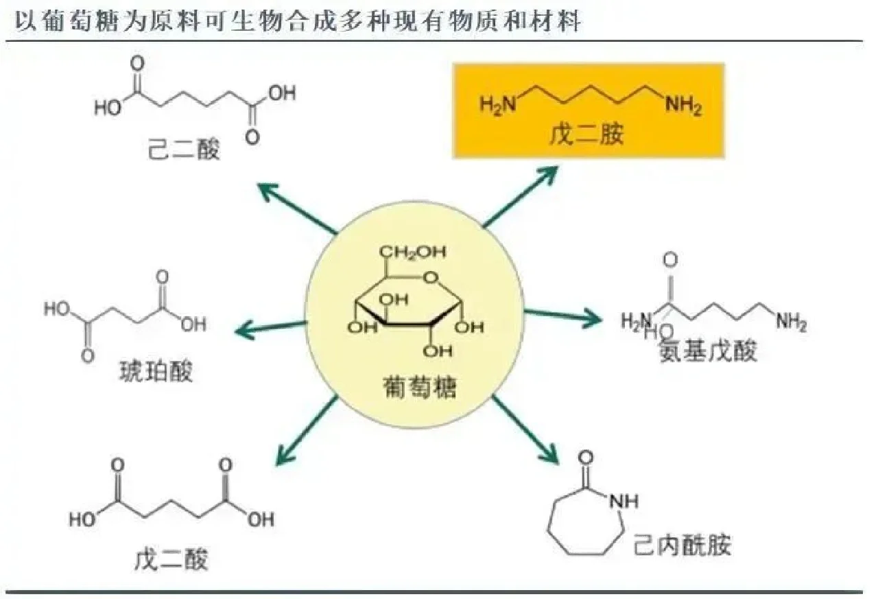 生物基材料和生物降解材料是完全不同的概念