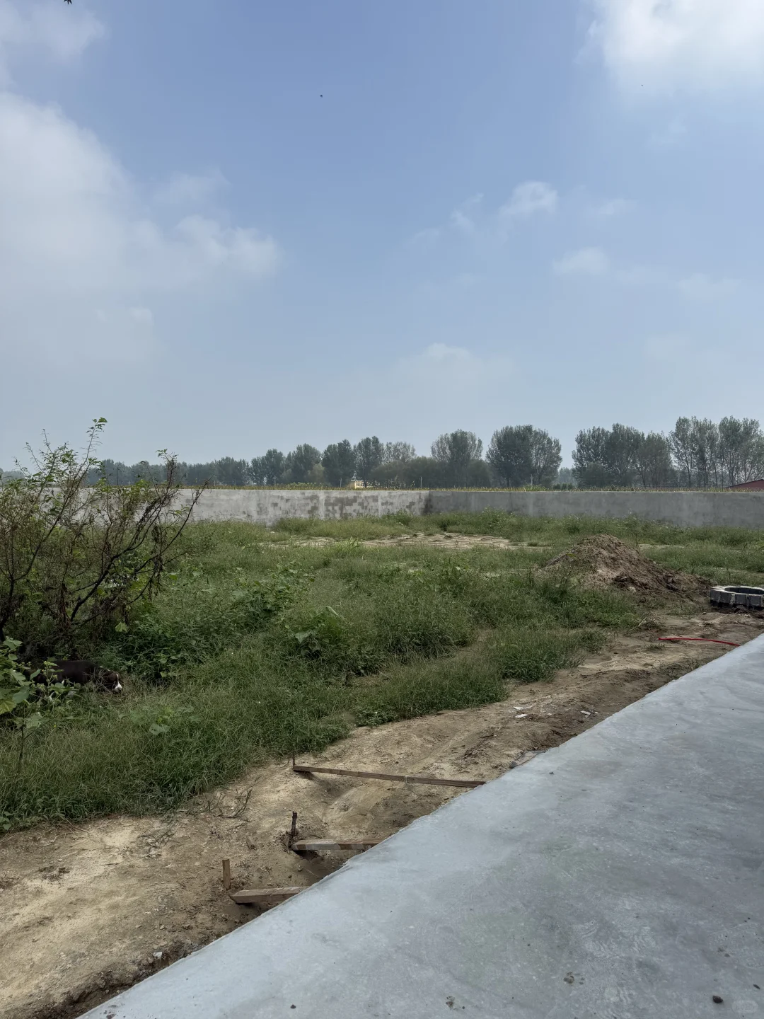 装修省钱反被坑！水泥地丑到想砸了?