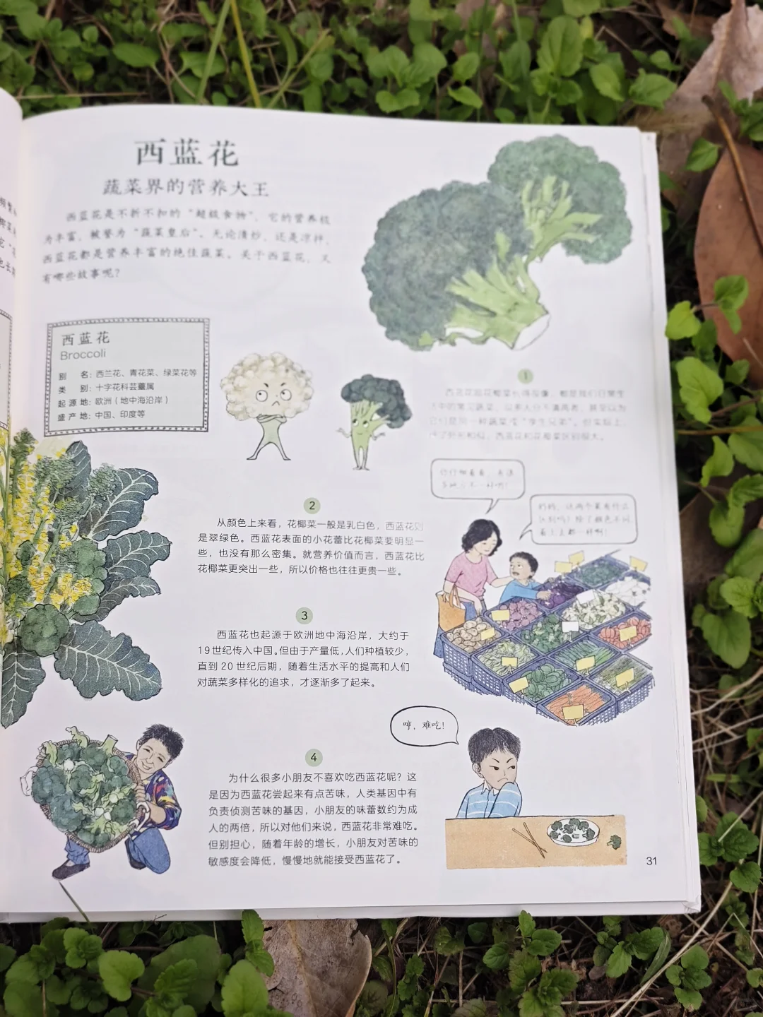 儿童农业科普绘本|纯手绘农作物科普