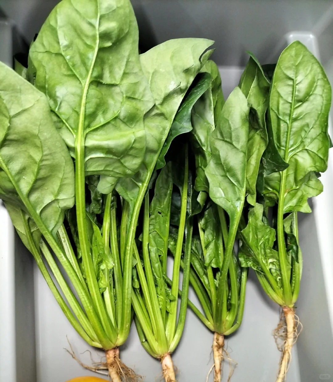 厨房健康管家！西门子Ai冰箱锁鲜指南