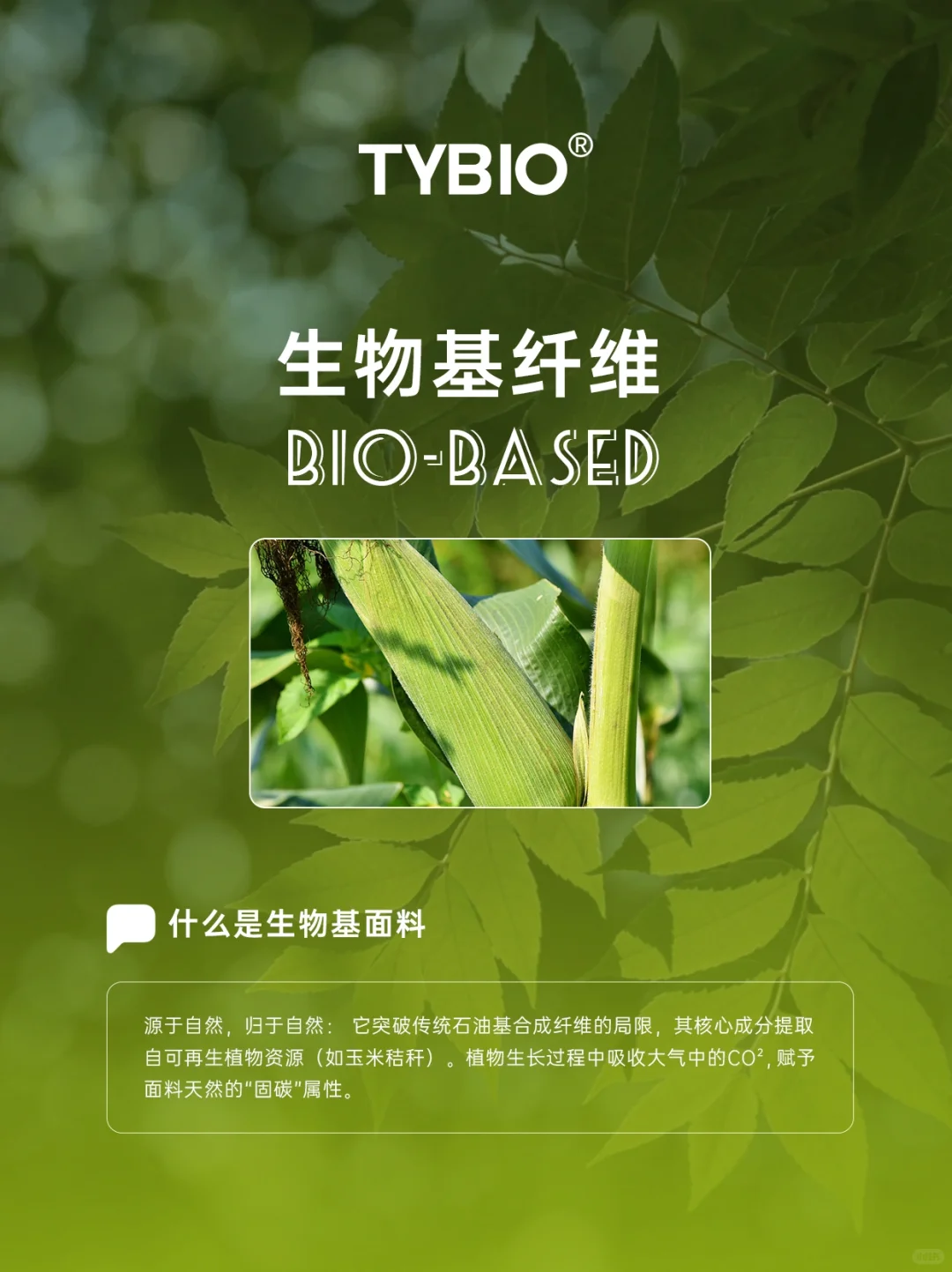 生物基环保面料 ♻| 引领绿色时尚新风尚