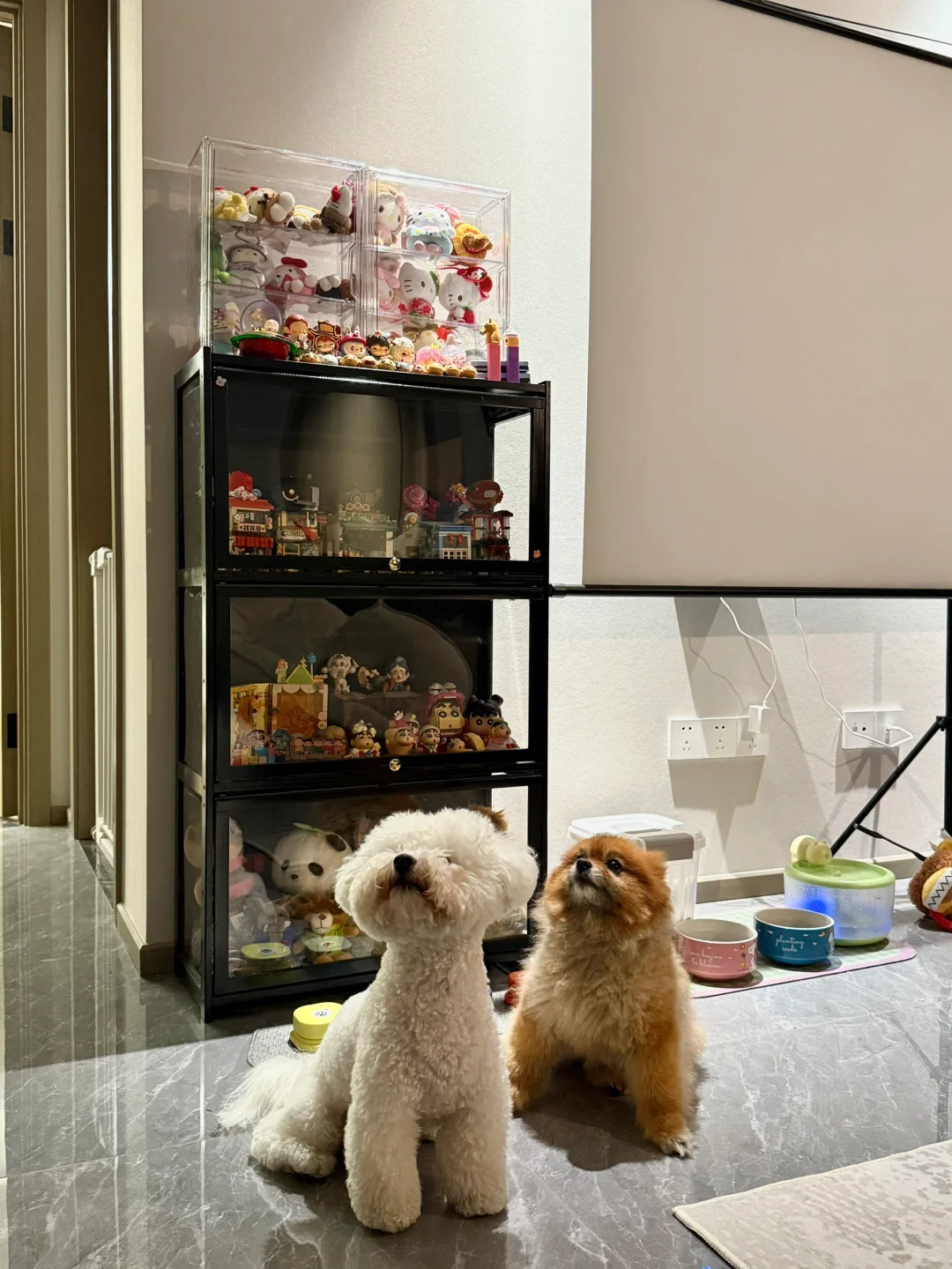 国美玻璃艺术专业毕设月的记录们?