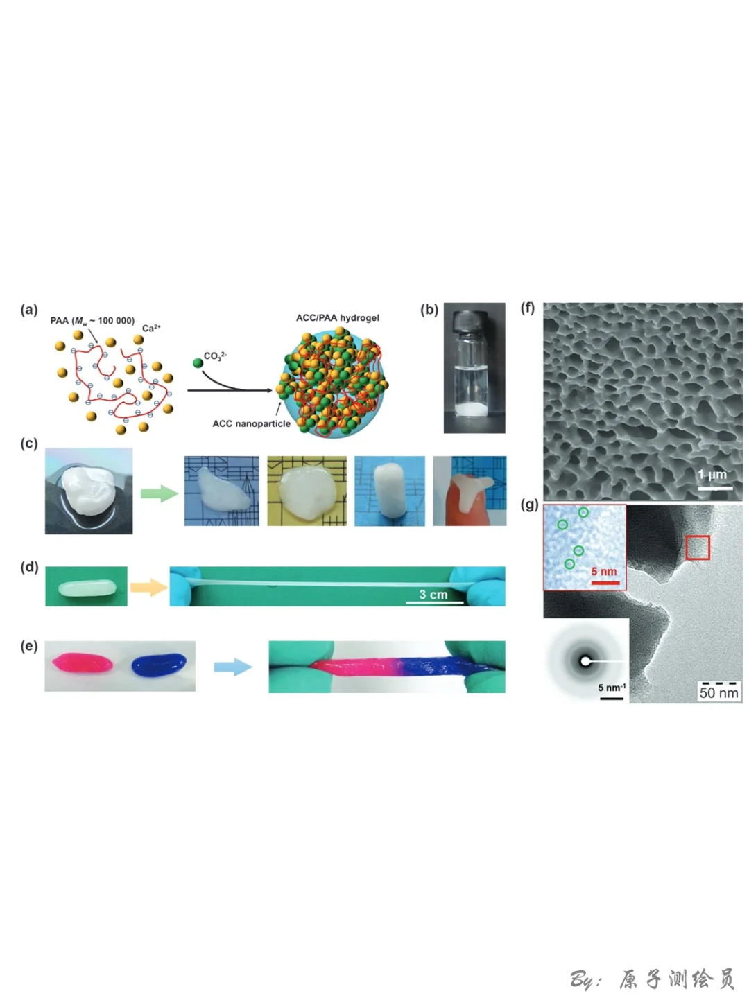 Angew：聚合物+ACC “矿物塑料”