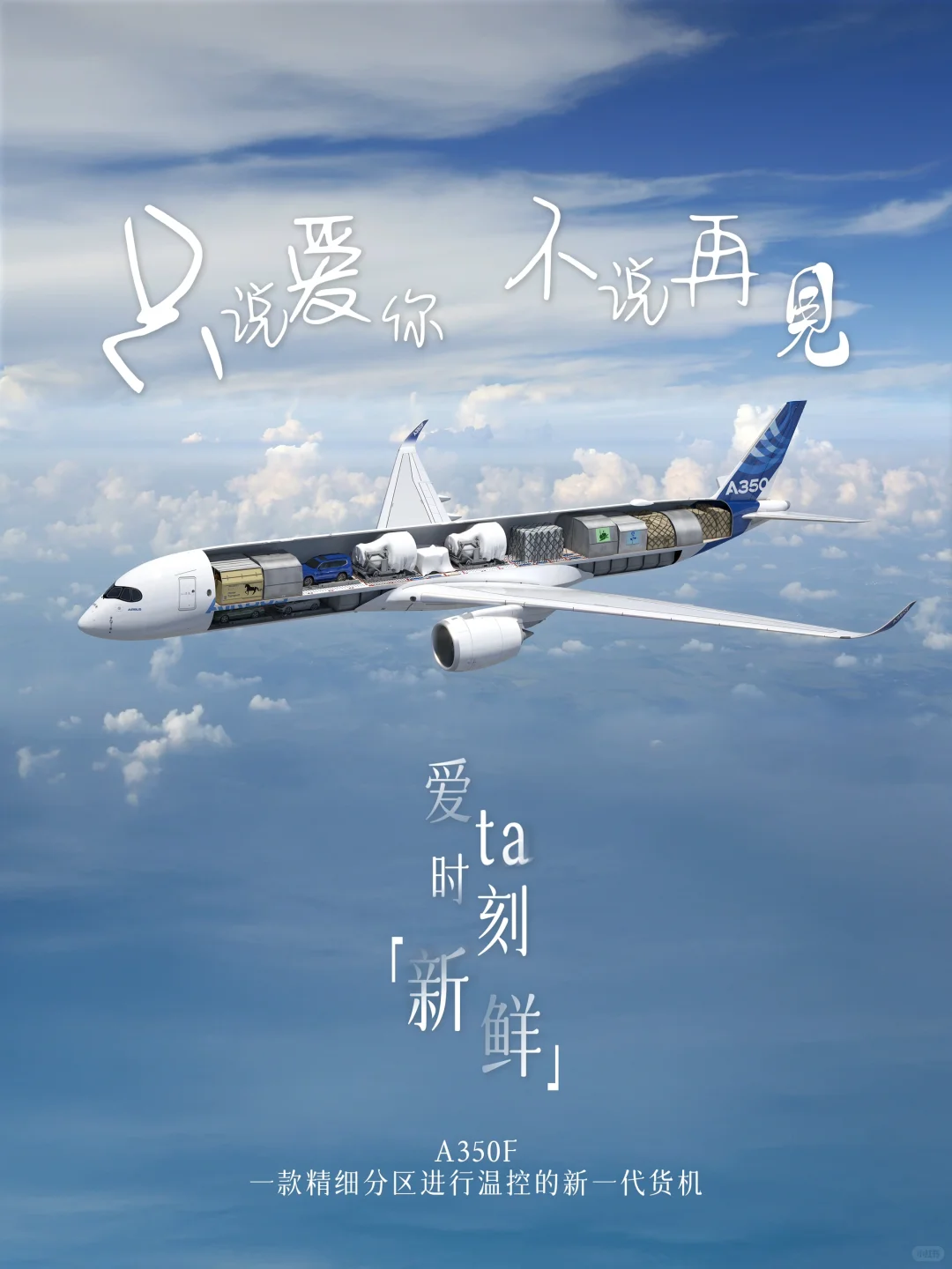 A350F 只说爱你 不说再见