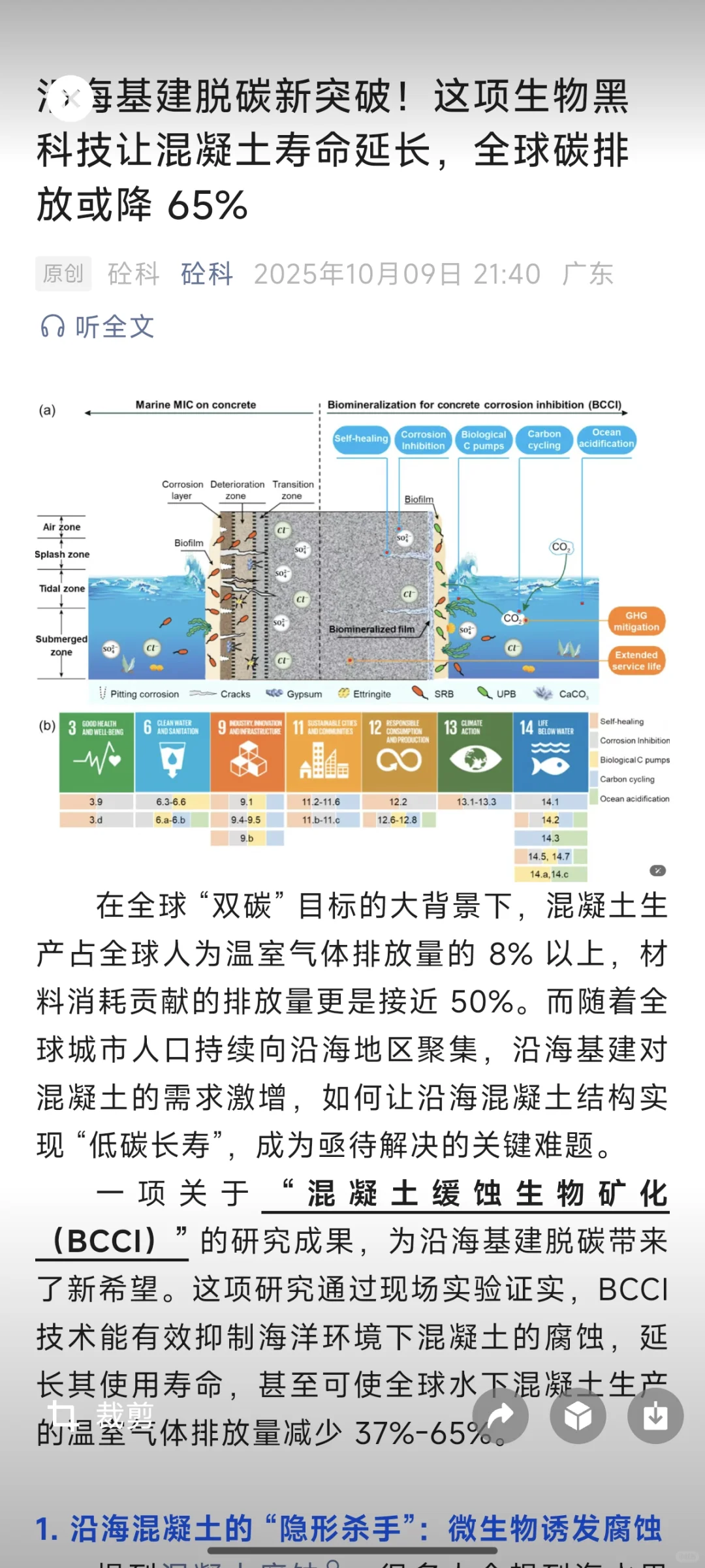 沿海基建脱碳新突破！这项生物黑科技让混凝