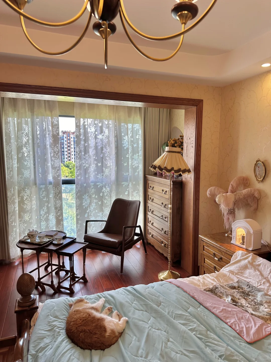 ????| 哪位大小姐的家速速认领！ ?