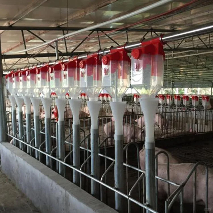 猪舍用自动喂料线