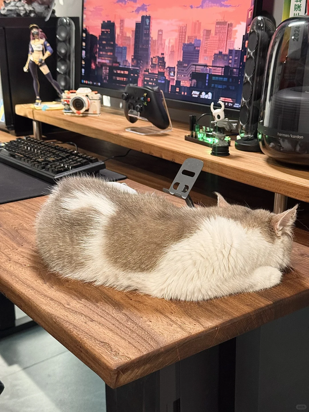 快来看看我花600做的升降电脑桌!真好看