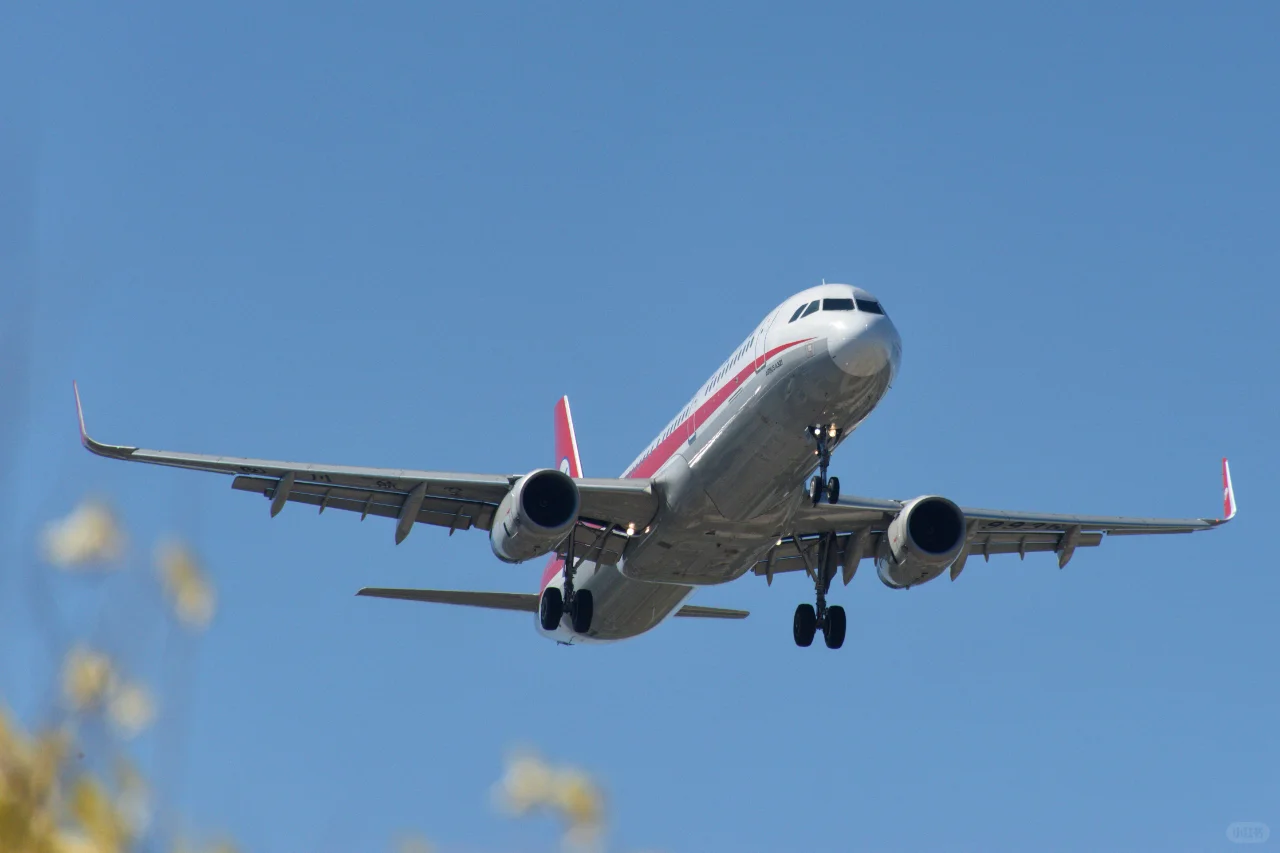 美好的一天从拍机开始