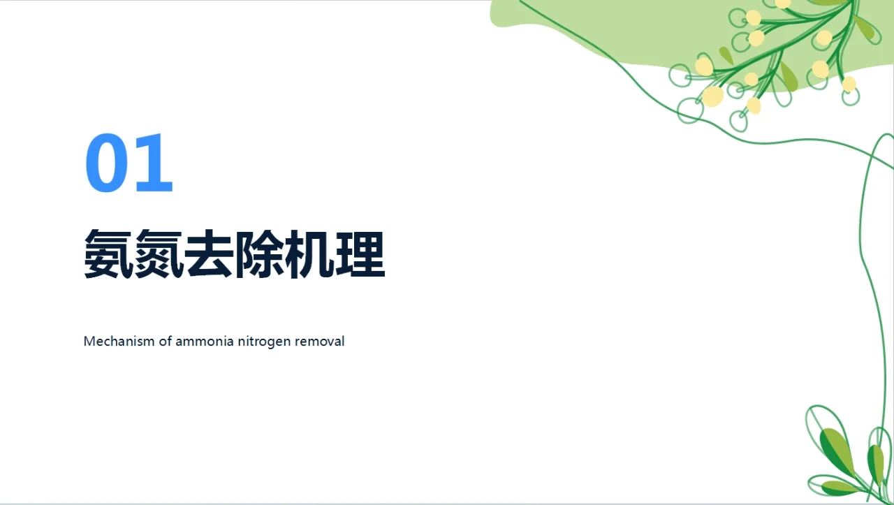 氨氮去除剂在污水处理中的作用PPT