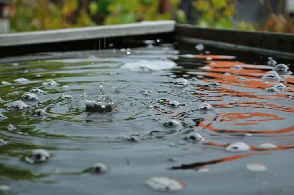 设计雨水系统运行是城市雨天污染控制关键