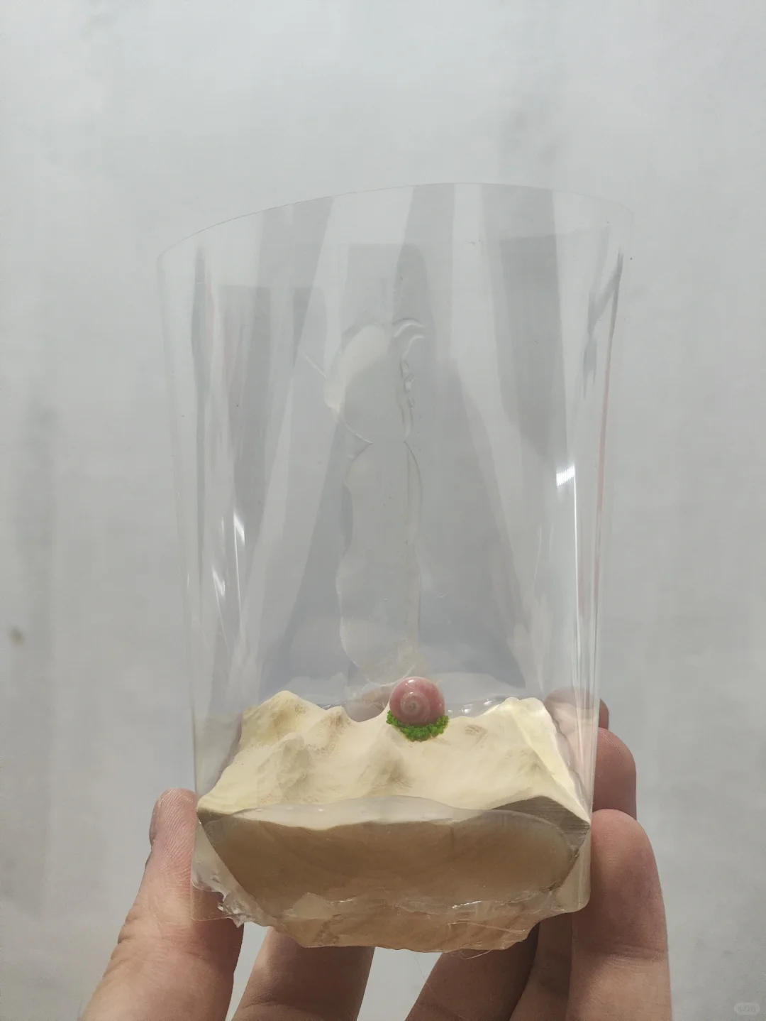 海洋之星制作过程来了