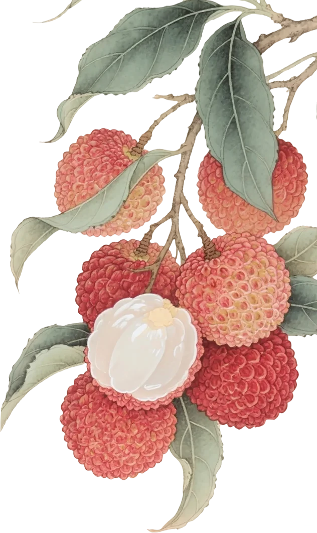 PS练习-小暑海报 丨 附带详细步骤 附素材