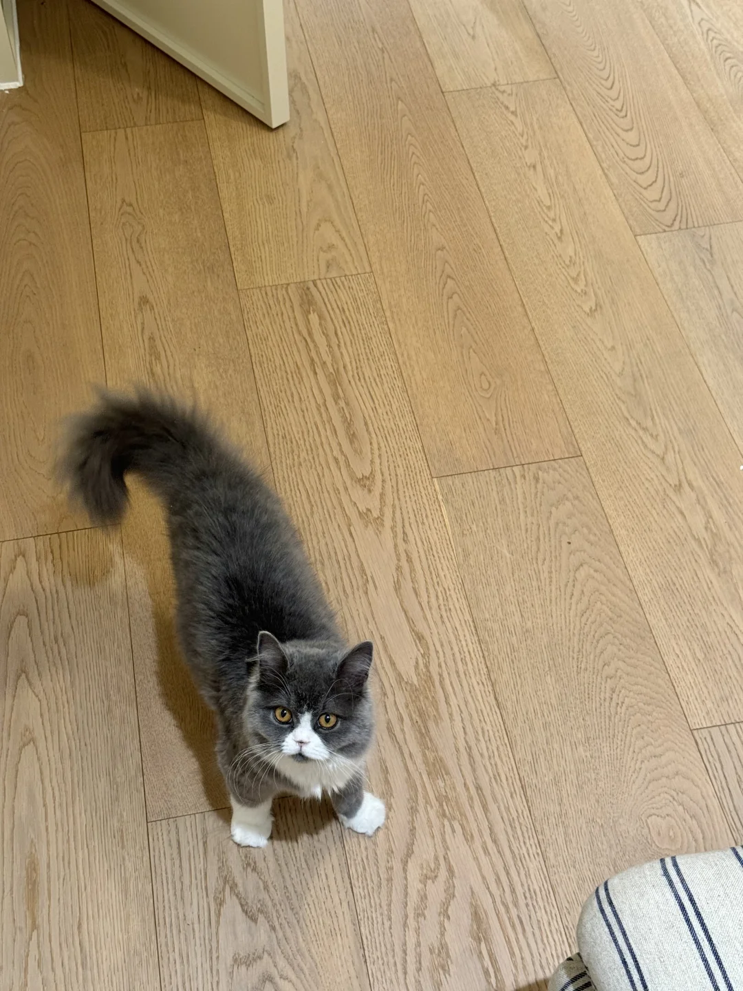 餐厅秒变开放式玻璃空间，美到犯规！