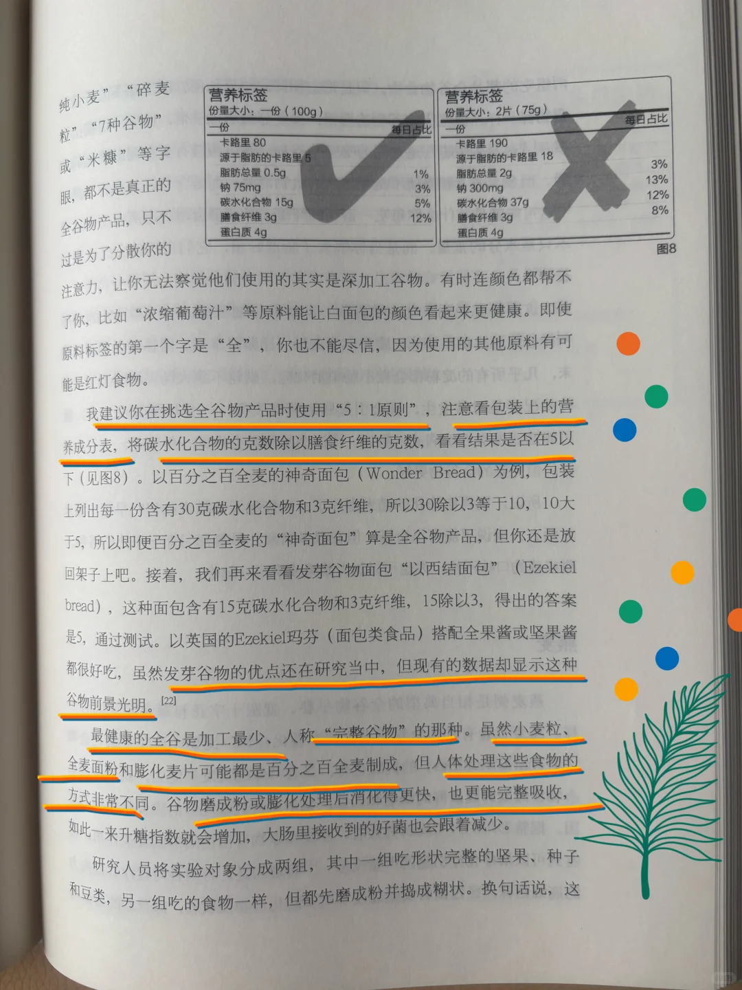 ?救命!吃错全谷物等于自吃?