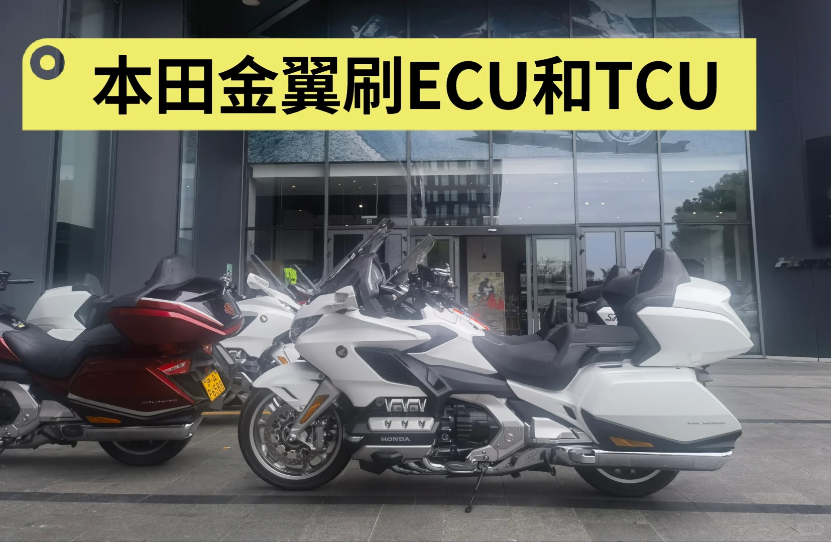 本田金翼刷ECU和TCU解决顿挫问题