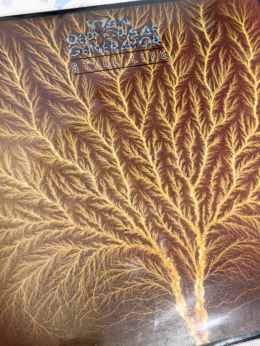 你见过哪些漂亮的专辑封面？— Still Life