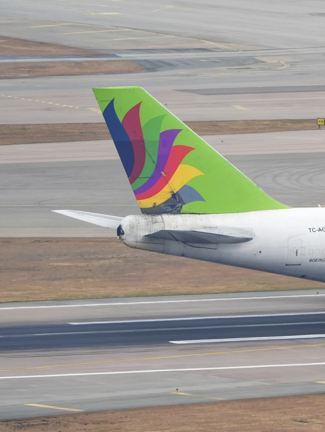 多次易主依旧服役,高龄女王为何经久不衰?