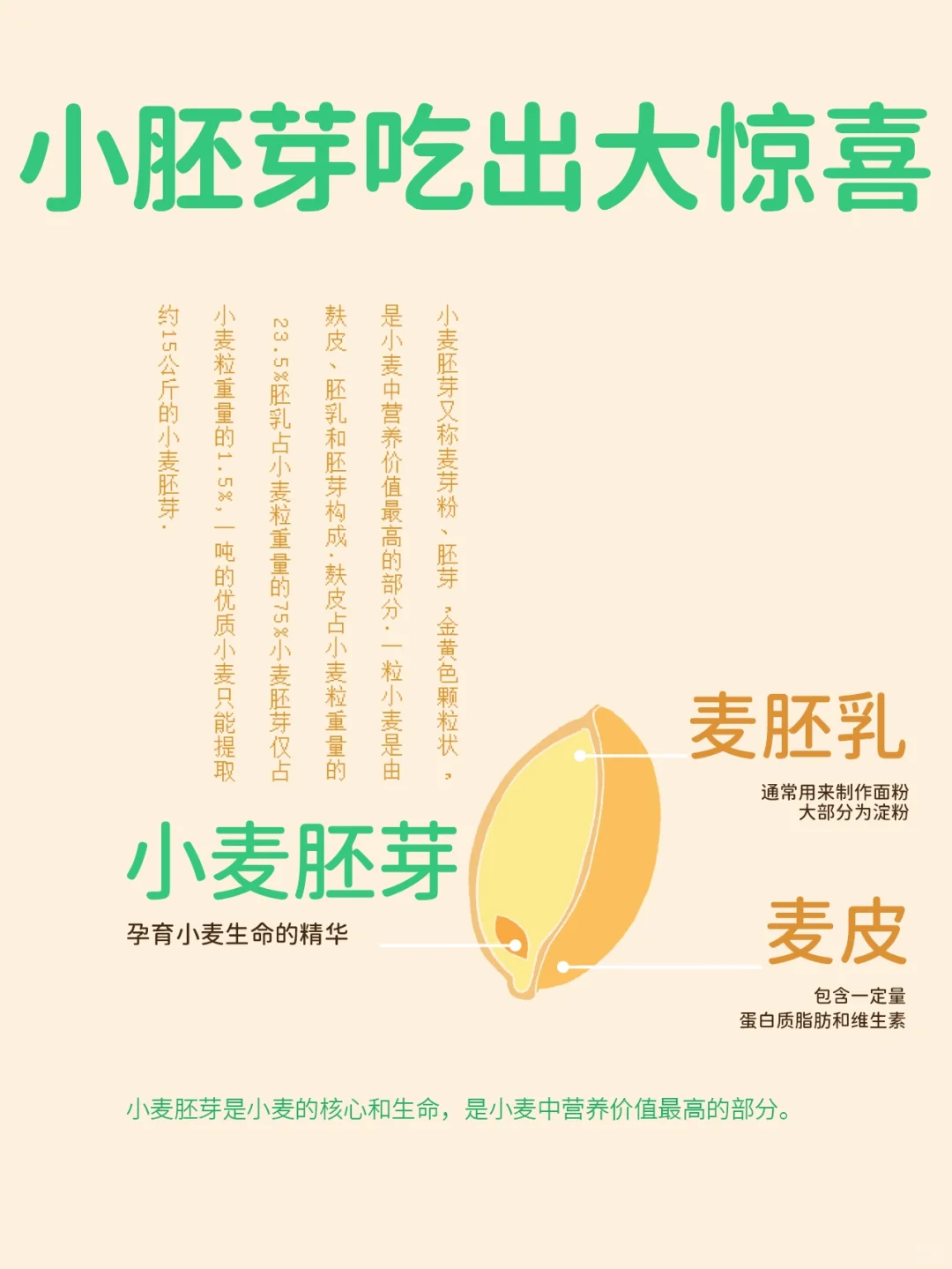 小胚芽吃出大惊喜✨