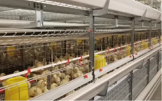 山东济宁3家养殖场采暖项目