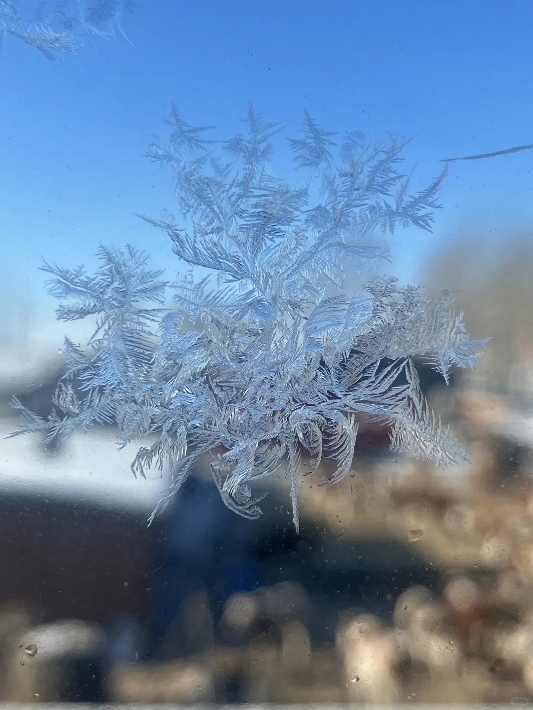 拍到非常规整的冰花