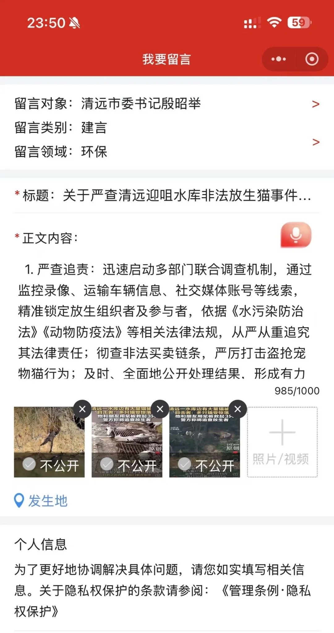 清远水库猫的热度上来