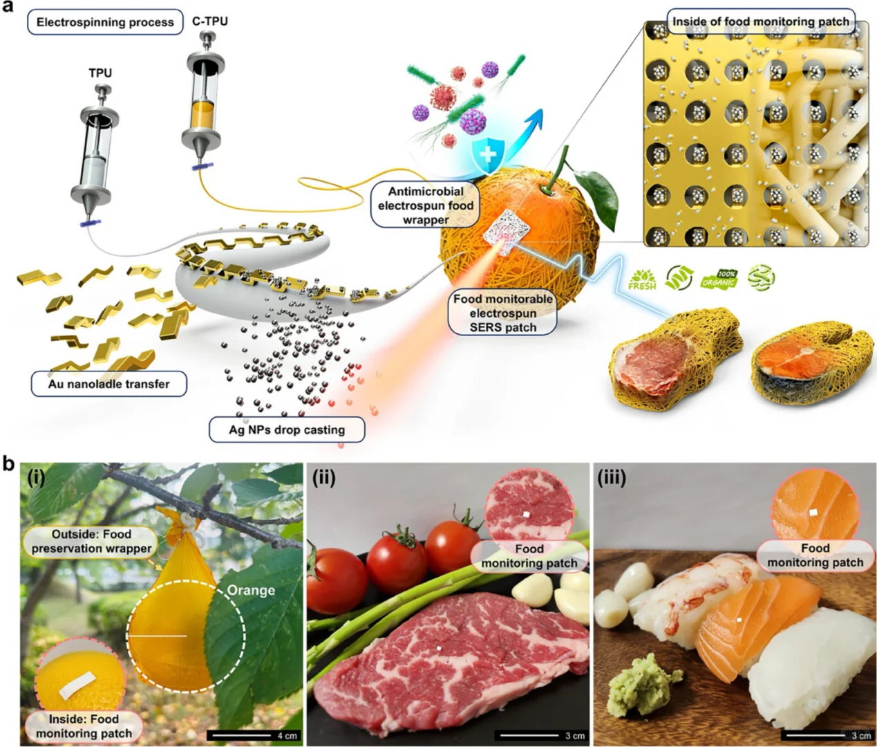 静电纺丝应用！智能包装提醒你牛肉变质？