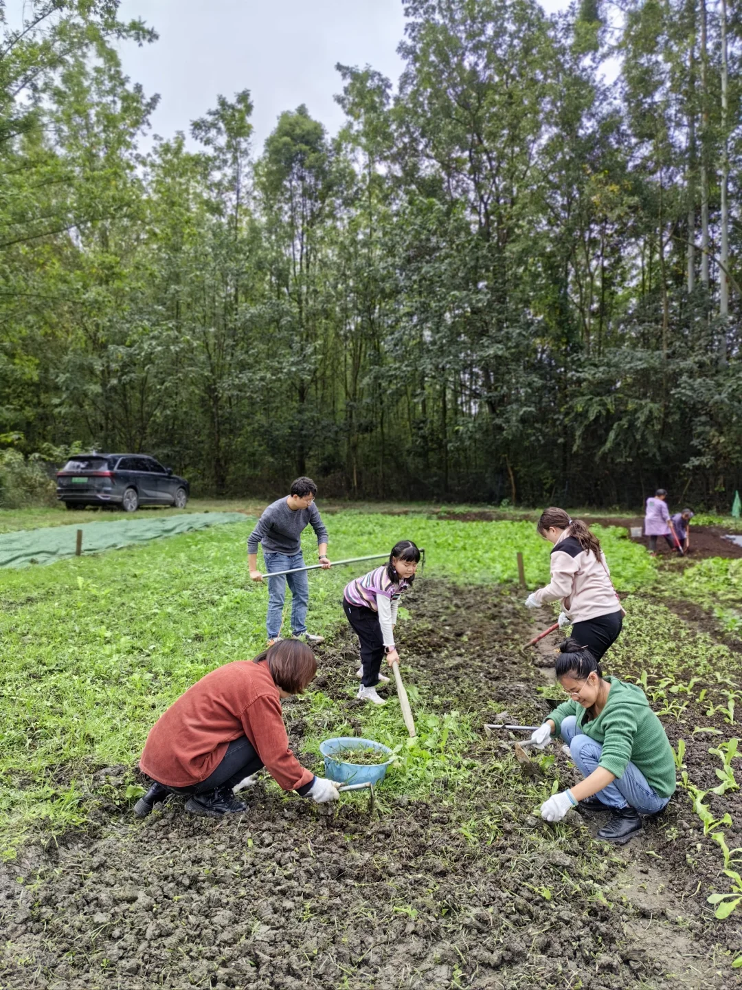 农场首批租户首耕开种啦，大人孩子都很尽兴