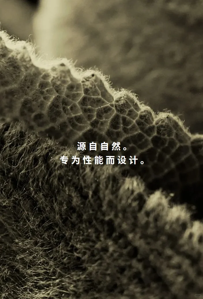 一定帝人舒柔特(SOLOTEX)？Sorona®够用了