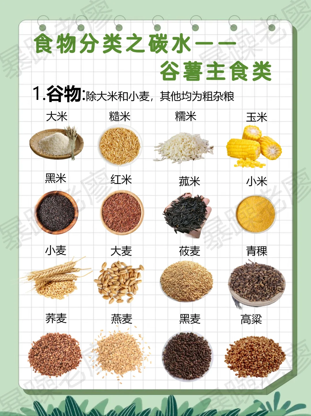 食物分类1-谷薯主食（附日常安排要点）