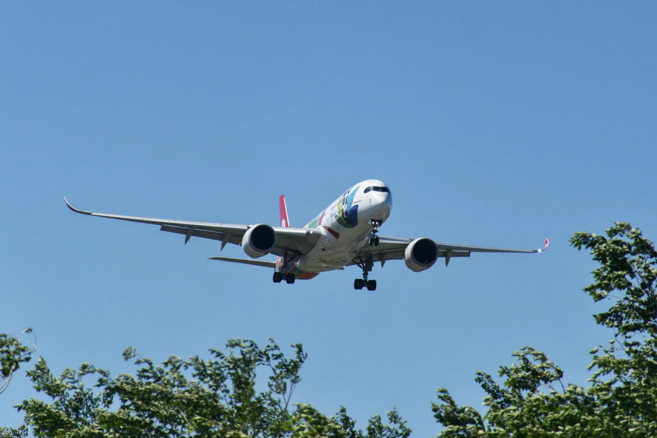 美好的一天从拍机开始