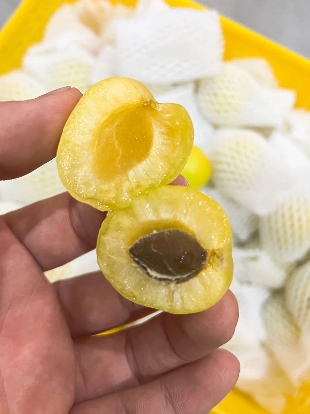 原来新疆小白杏这么稀有,一年仅20天的果期