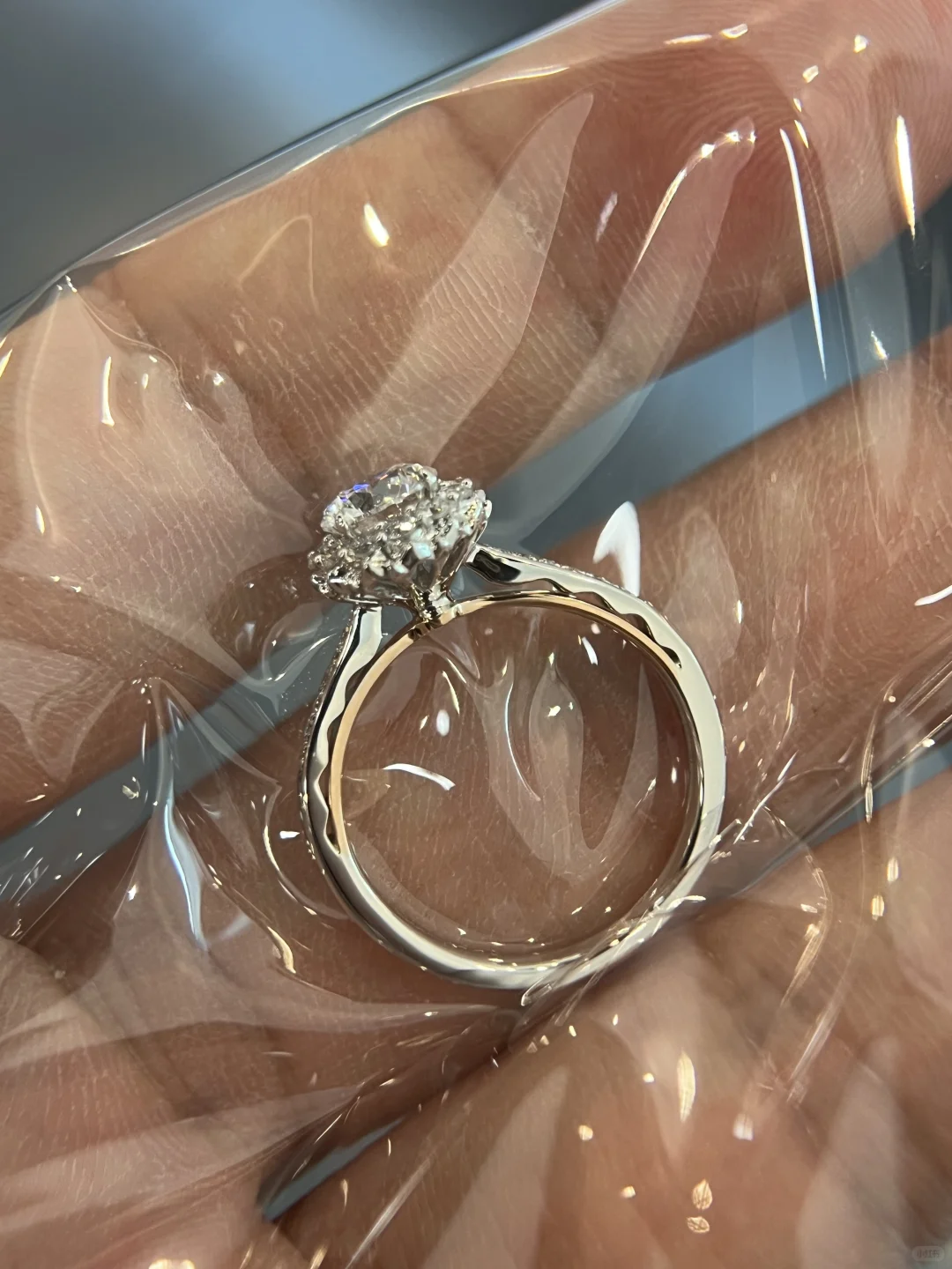 名字叫“华美”