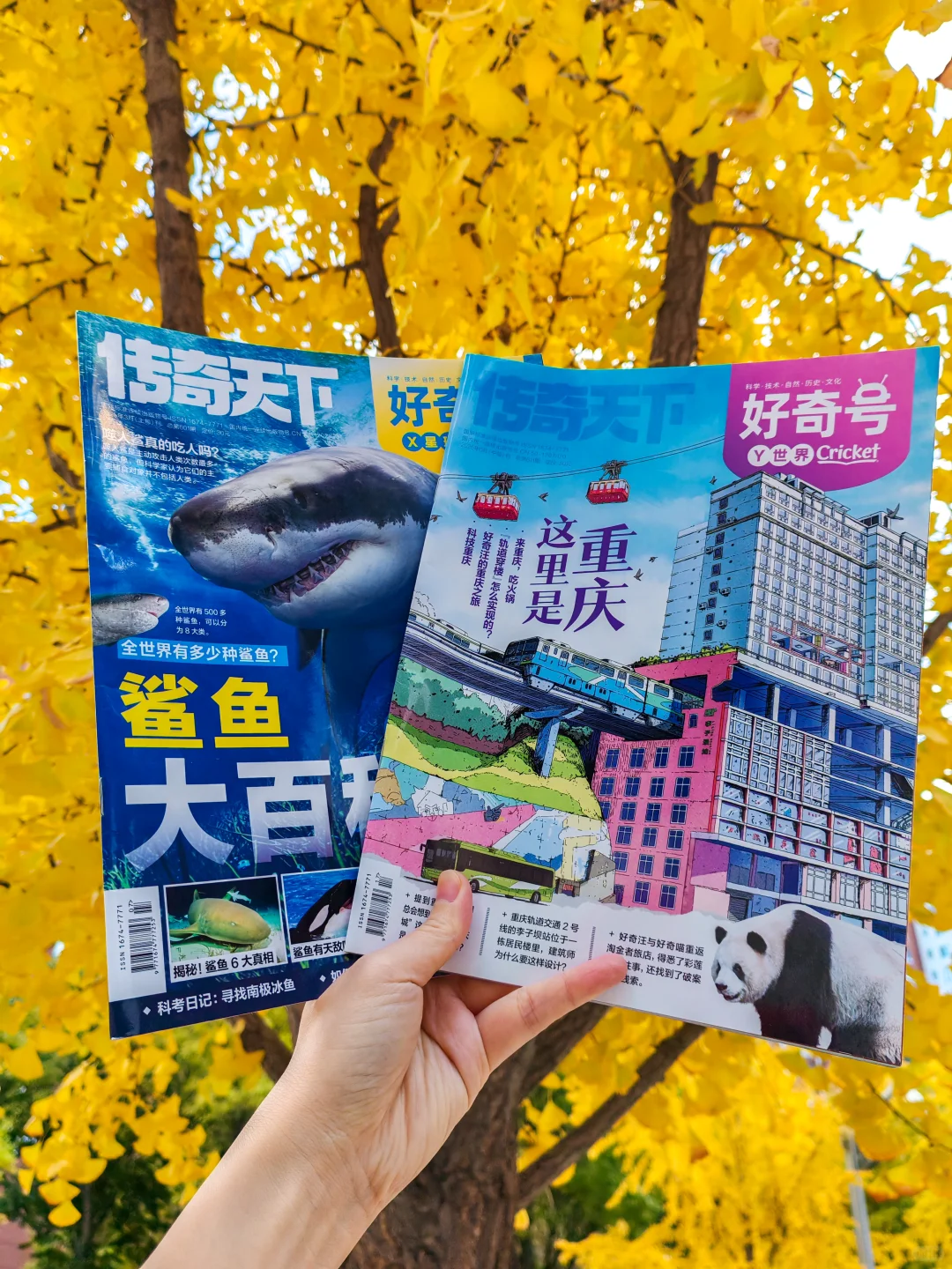 少儿科普杂志那么多,只有这套全科通识!