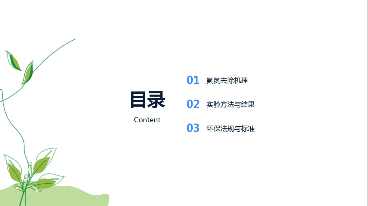 氨氮去除剂在污水处理中的作用PPT