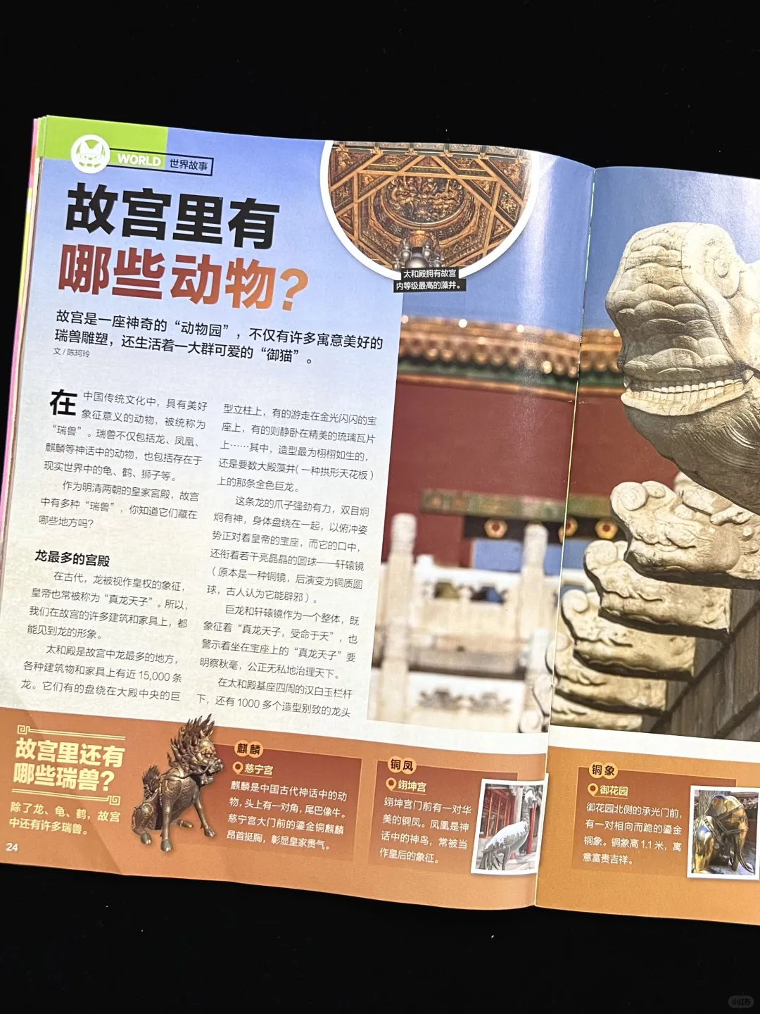 这本通识杂志让孩子追着问 “为什么”?