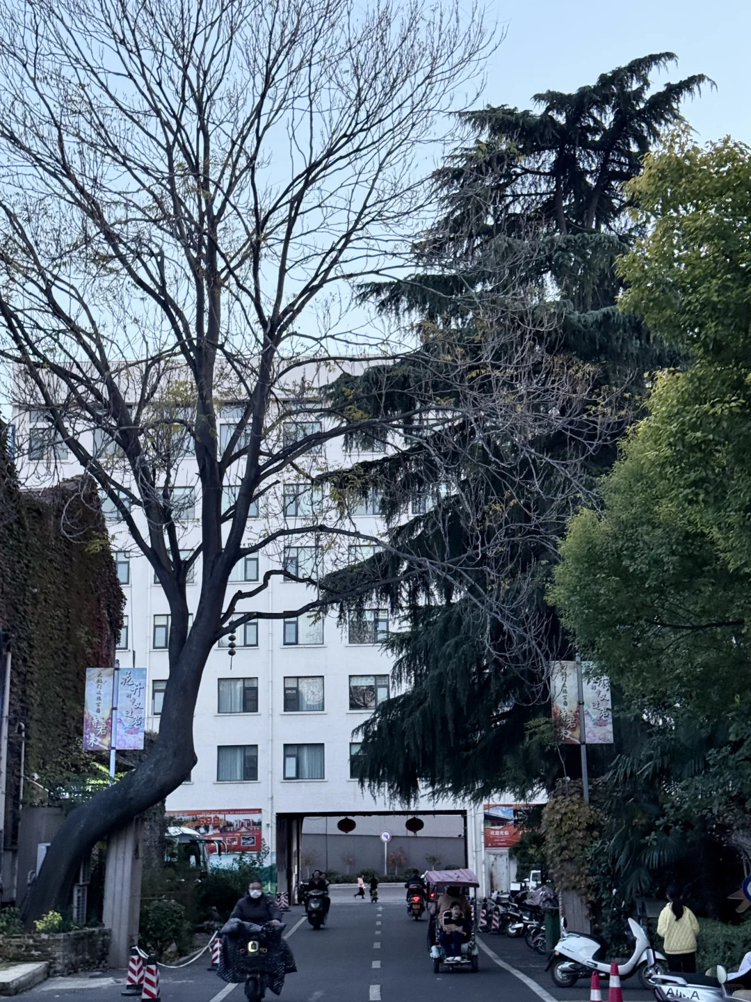 秋日陶艺初体验｜窗外银杏黄，手里泥碗香?