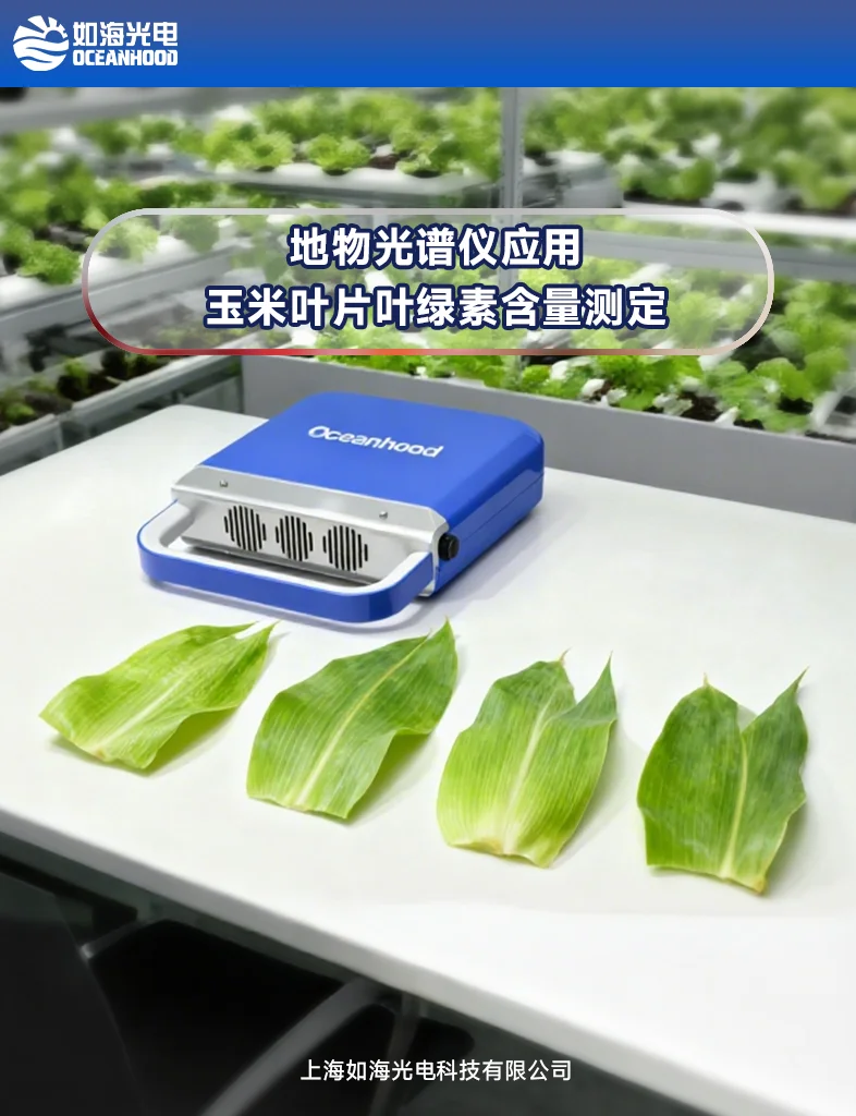 地物光谱仪|玉米叶片叶绿素含量测定