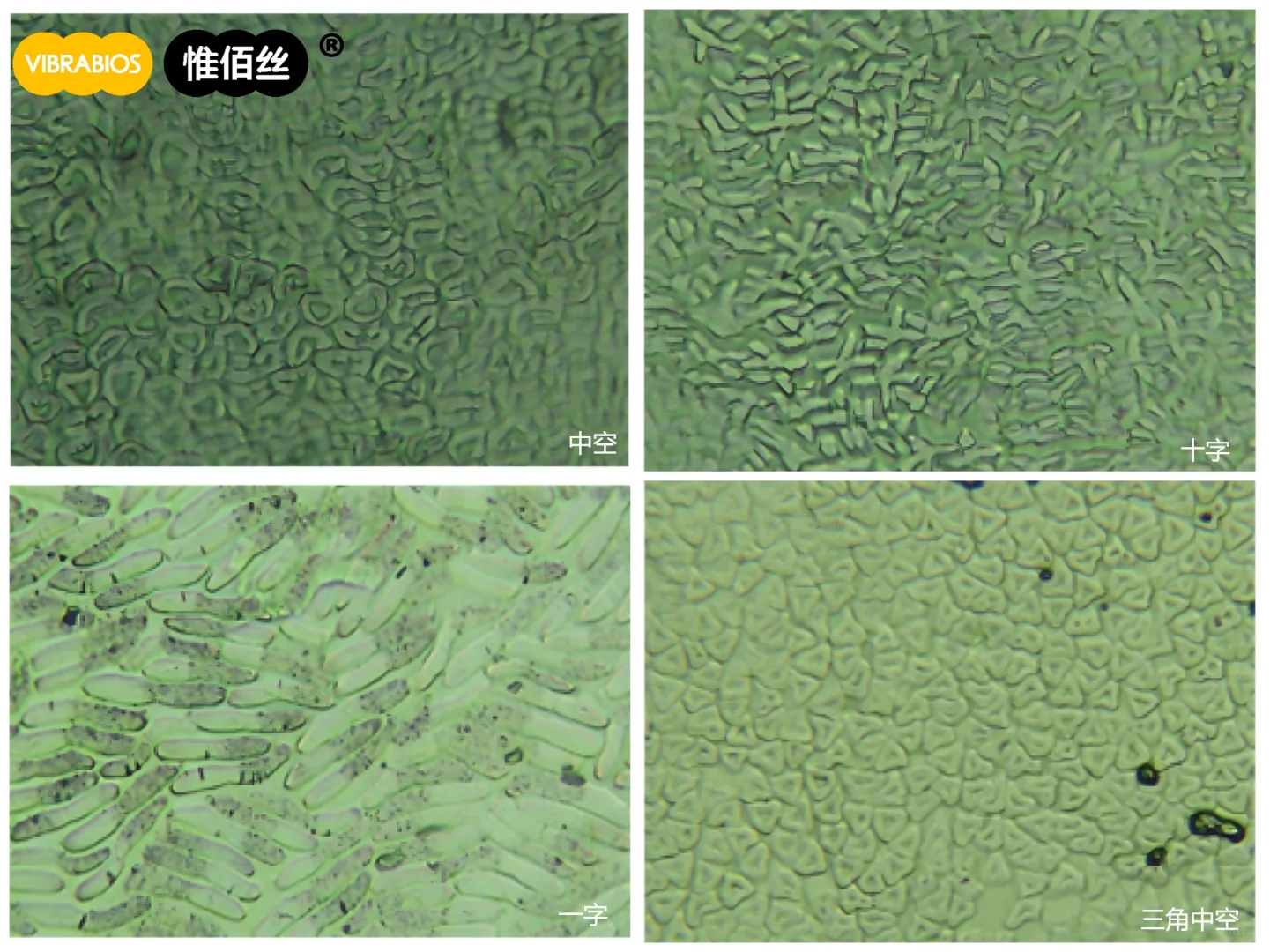 ? PLA聚乳酸异形纤维(玉米纤维)