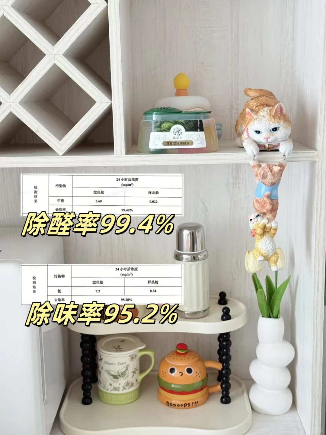 也没啥大本事，就是猛猛除甲醛‼️