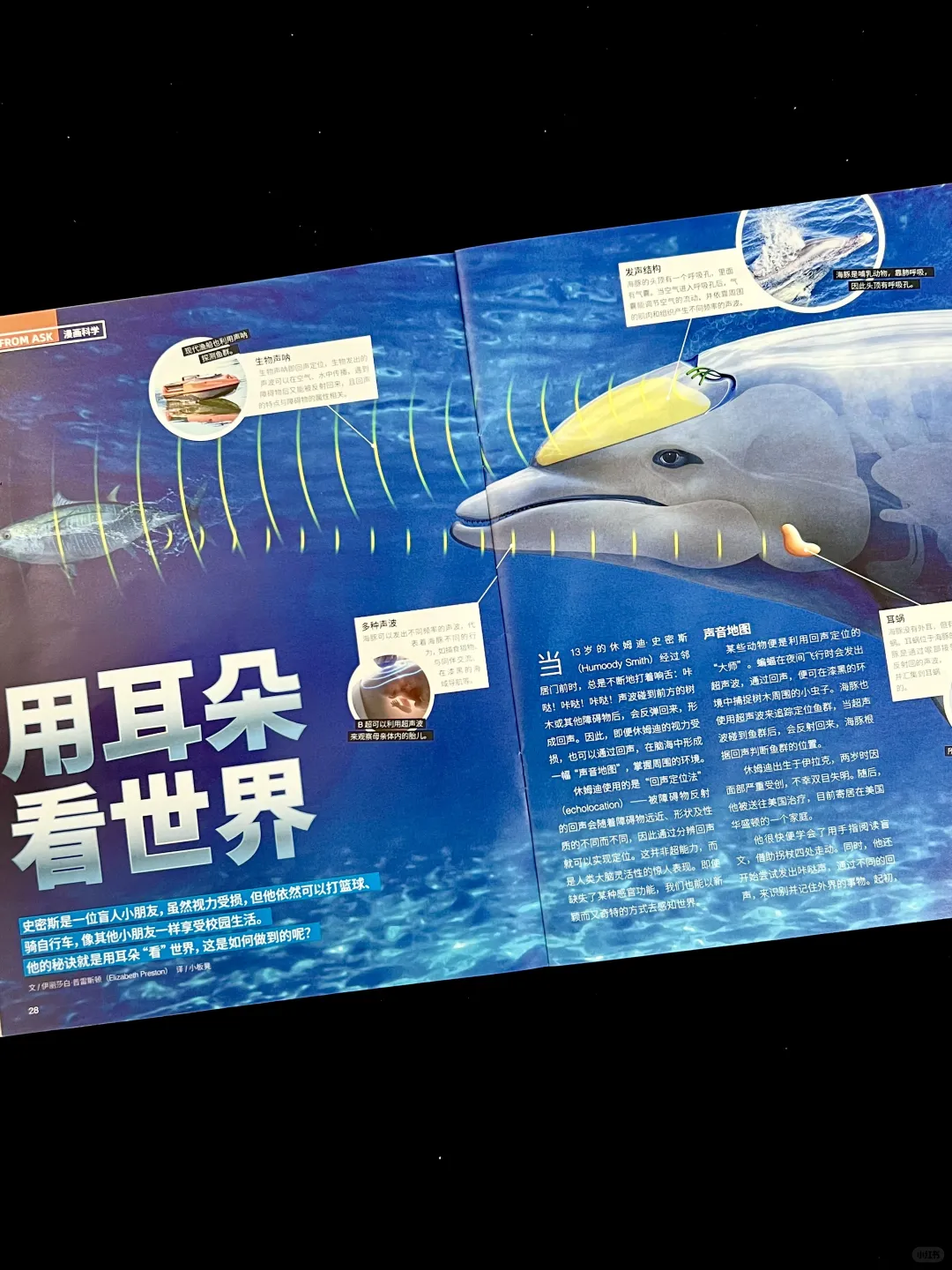 这本通识杂志让孩子追着问 “为什么”?