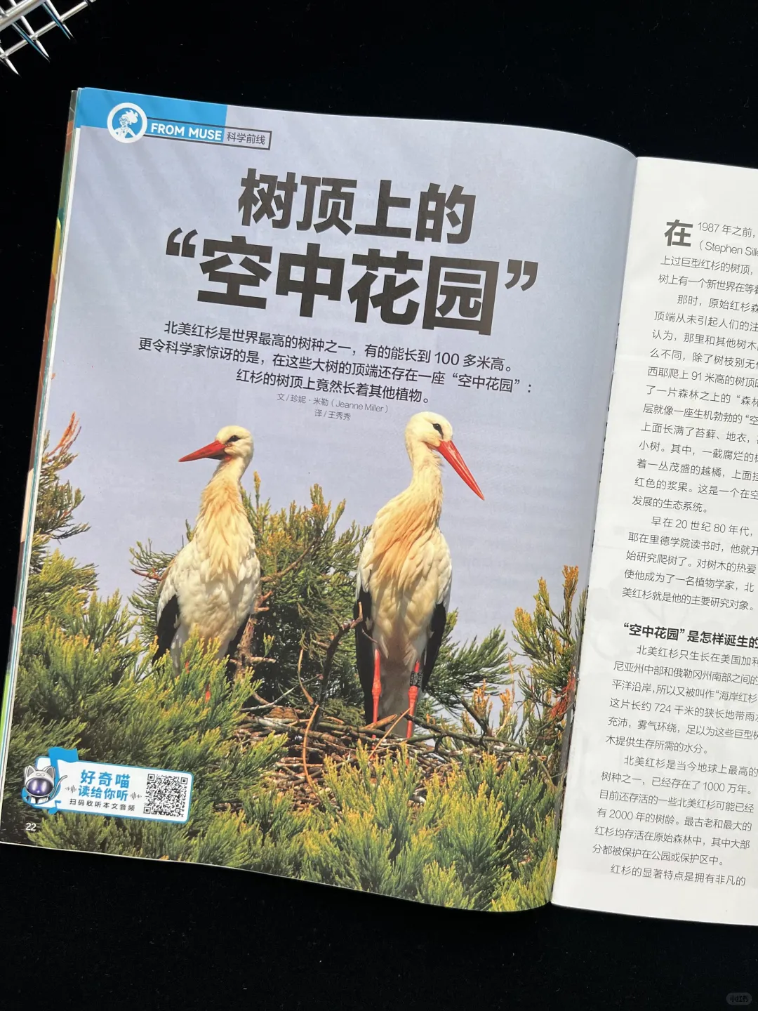一份杂志 = 科学刊 + 历史刊，双倍知识暴击