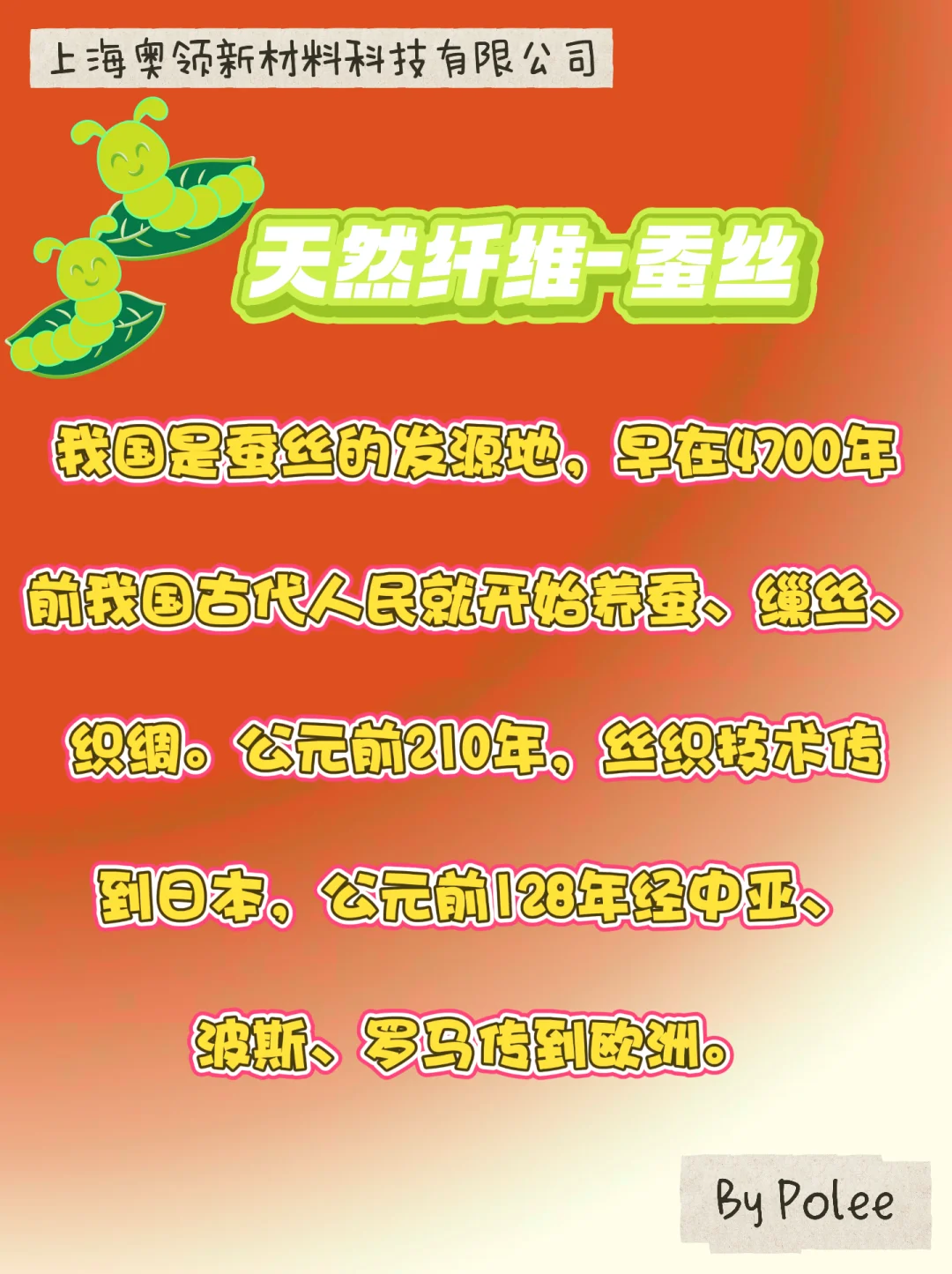 纤维的分类1️⃣