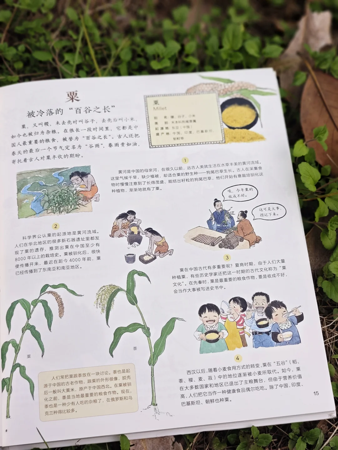 儿童农业科普绘本|纯手绘农作物科普