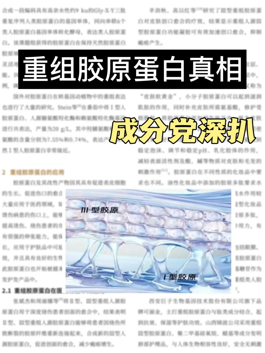 ✨重组胶原蛋白/护肤界新宠到底有香