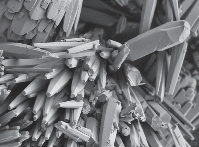 电镜推荐！一键搞定化学成分+结构分析！