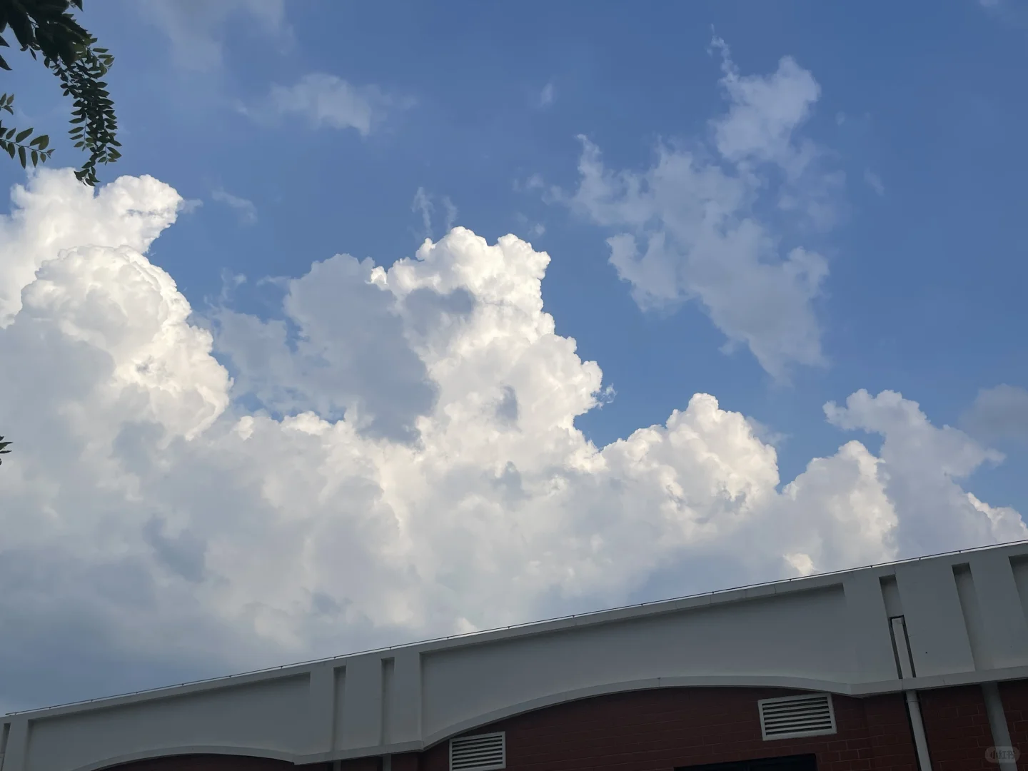 传统能源碎纸机