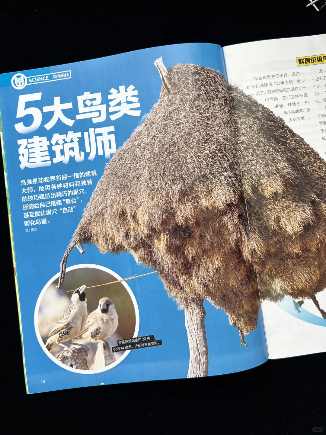 一份杂志 = 科学刊 + 历史刊，双倍知识暴击