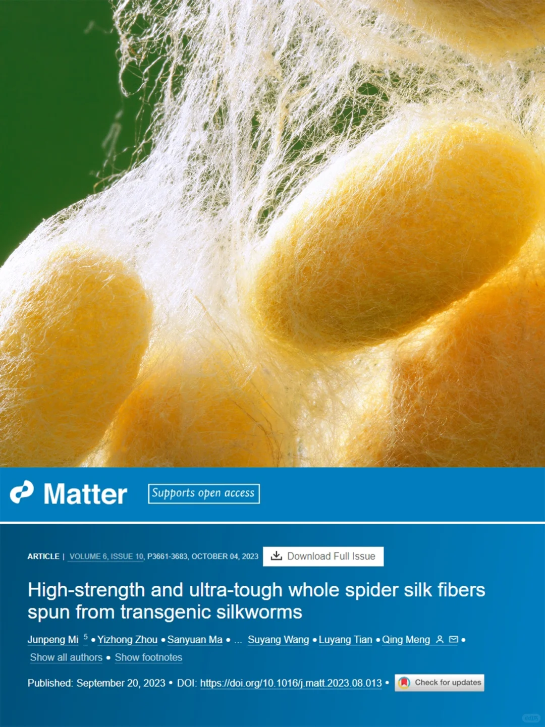 基因编辑：蚕能纺出蛛丝，超越防弹纤维